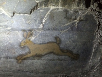 The hare