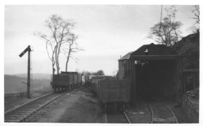 Sheep Pasture Shed 07.03.48