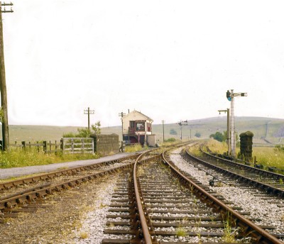 Parsley Hay 1967