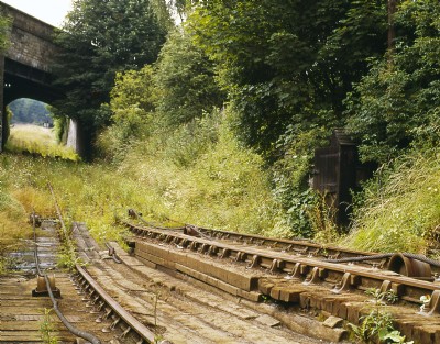 View up Sheep Pasture from High Peak Junction 1967