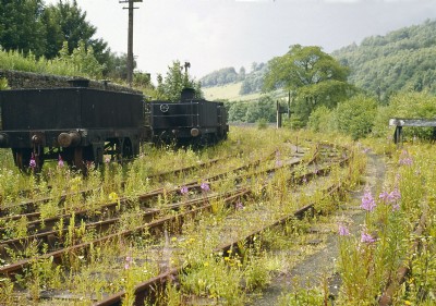 Canal side: two travelling water tanks repose amongst the rose bay willow herb 1967
