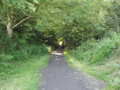 Line at Limestone Way