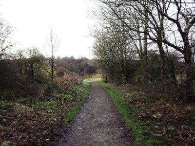 Intake crossing