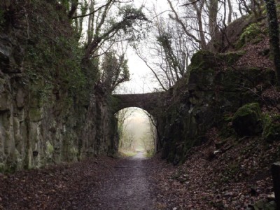 Bridge & Cutting