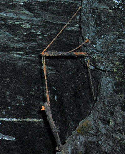 Bridge Hanger?
