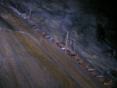 New steps