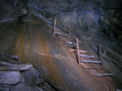 New steps