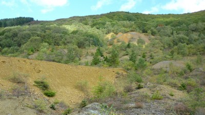 Photographs Of Cwmrheidol (Photo ref 55414)