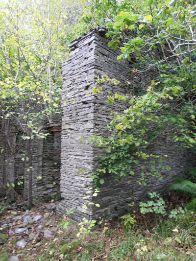 Cwmrheidol