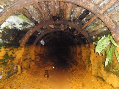 Cwmrheidol