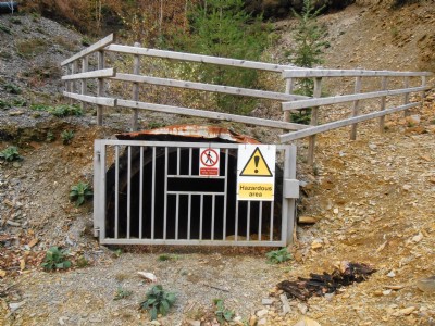 Cwmrheidol