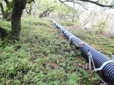 Cwmrheidol