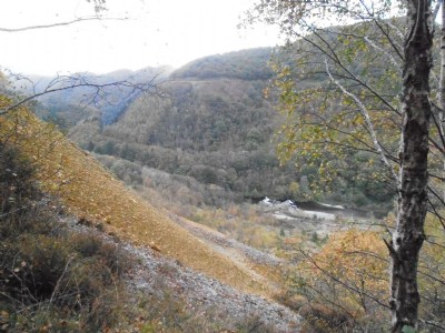 Cwmrheidol