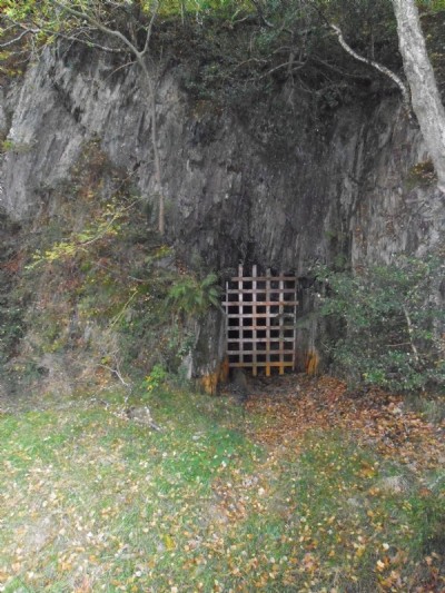 Cwmrheidol
