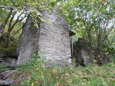 Cwmrheidol