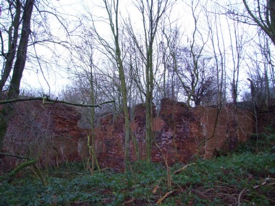 Darwin Ironworks 05.01.09