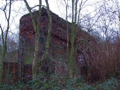 Darwin Foundry 05.01.09