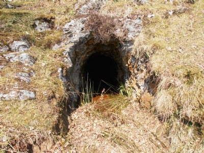 Photographs Of Dduallt Manor