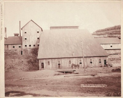 Deadwood Reduction Works