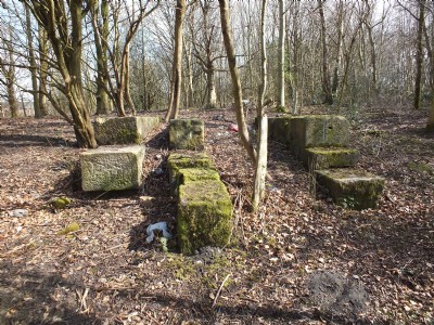 Denton Colliery - Great Wood Pit, Crank Mountings for Winding Engine