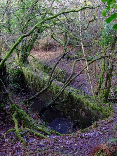Photographs Of Devon United