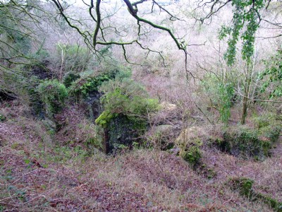 Devon United Mines 02.02.08 -Sth Mine- Brunton calciners left, Reverberatory furnaces right