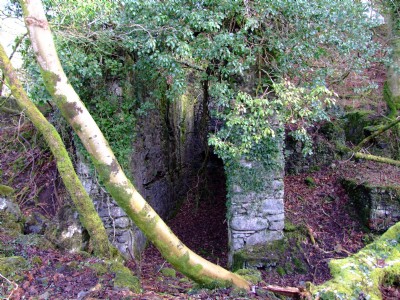 Devon United Mines 02.02.08 -Sth Mine- 34ft water wheel pit, drive for old stamps