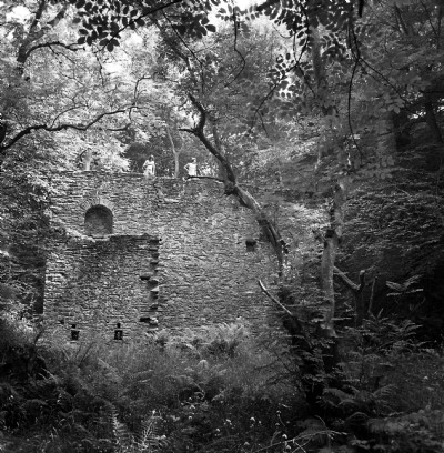 Historic Photographs Of Dhoon