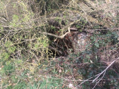 Shaft side diminsdale