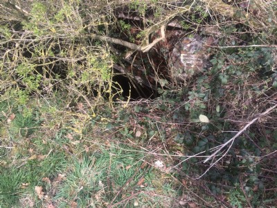 Visible pit rail above shaft