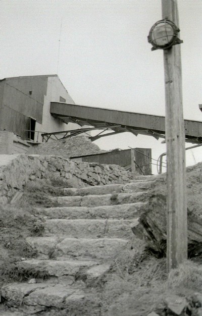 Historic Photographs Of Dinmor Park