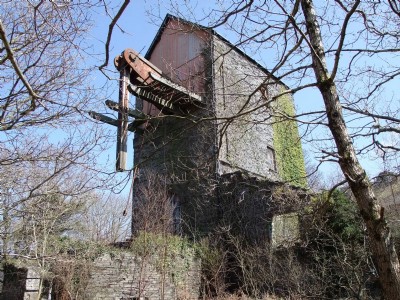 Dorothea In Spring