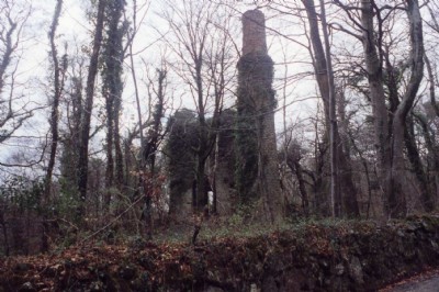 Wheal Druid Eng House Victoria Shaft- Ashburton- 07.04.99
