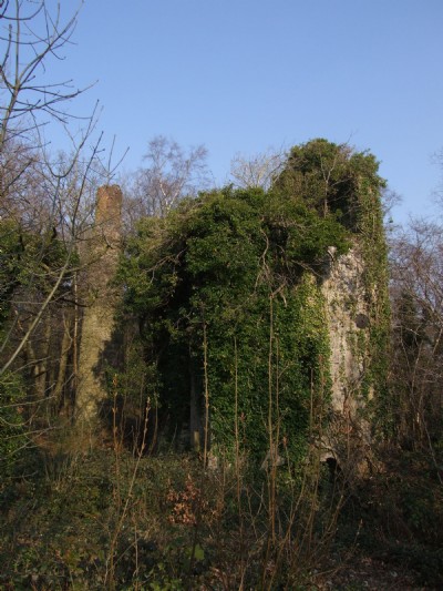 Wheal Druid 02.04.07