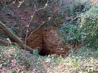 Photographs Of Druid