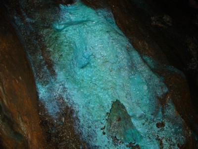 Drws y Coed