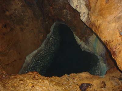 Drws y Coed