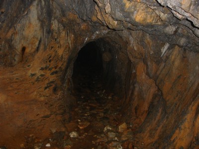 Drws y Coed