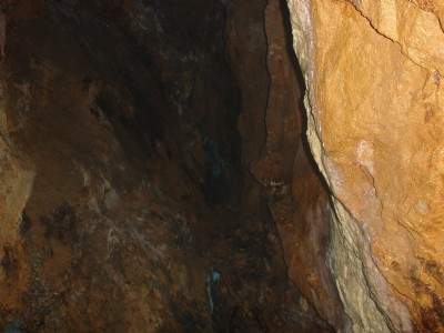 Drws y Coed