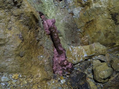 Pink thing