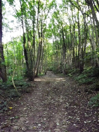 Track from quarries to canal