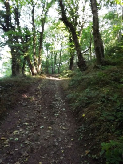 Track from quarries to canal