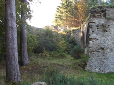 Dukesfield Arches October 2018
