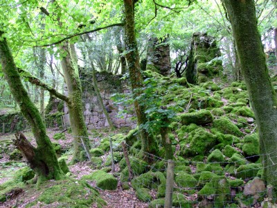 Photographs Of Dunsley Wheal Phoenix