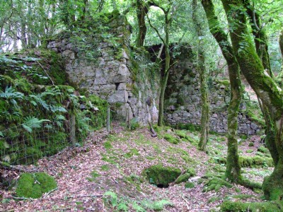 Water Wheel in Caradon Coombe