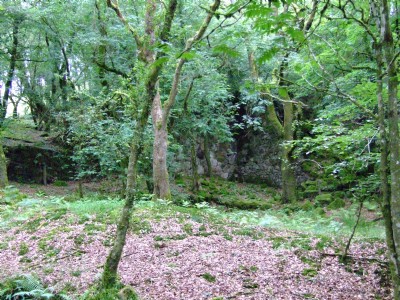 Water Wheel in Caradon Coombe
