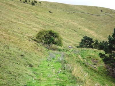 Photographs Of Dutchmans (Photo ref 65641)