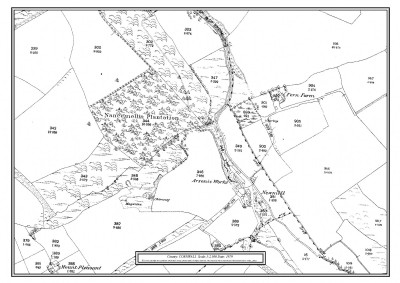 Historic Photographs Of English Arsenic Company, Roseworthy, Camborne