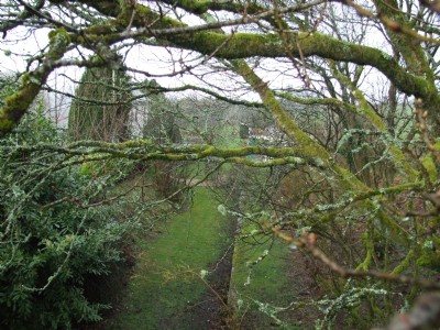 East Cornwall Mineral Railway