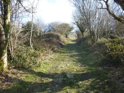 East Cornwall Mineral Railway
